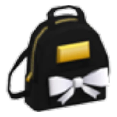 Black Designer Backpack