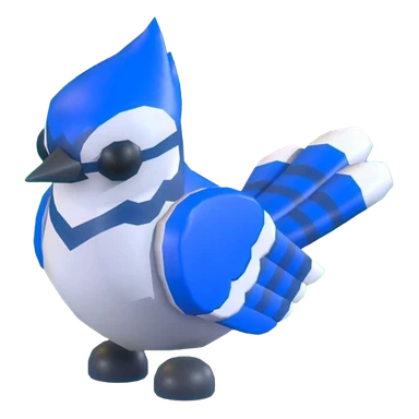Blue Jay