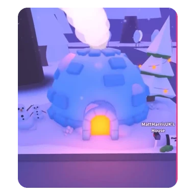 Igloo Home