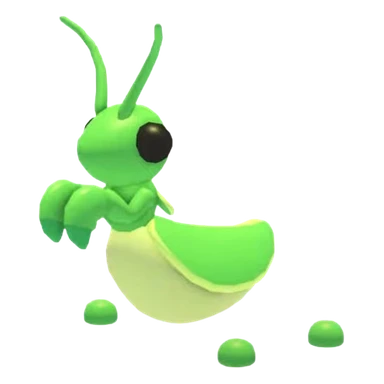 Praying Mantis