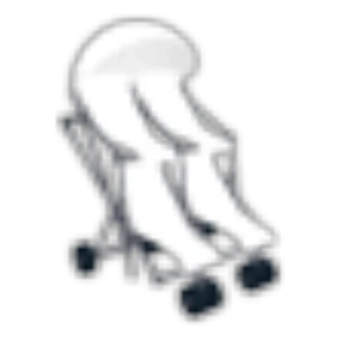 Quad Stroller