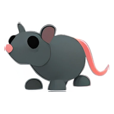 Rat