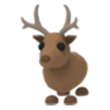 Reindeer
